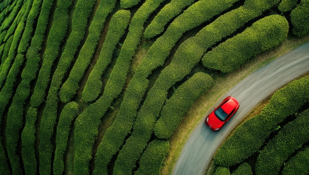 Se déplacer à travers l’Île